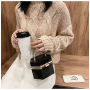 Transparent Acrylic Clear Color Box Purses Clutch Bag Handbag Women Ladies Purses and Handbags Luxury Handbags for Women
