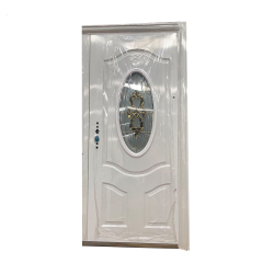 Steel door with glass security entrance door