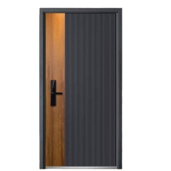 New Security Steel Doors Exterior Doors