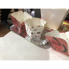 DC950 China Manufacturer Price Paper Cup Carton Box Die Cutting And Creasing Making Machine