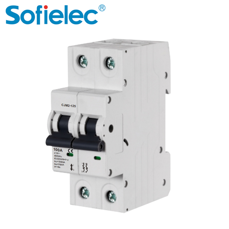 CJM2-125 High short-short capacity 10KA. Designed to protect circuit carrying big current up to 125A single phase mcb