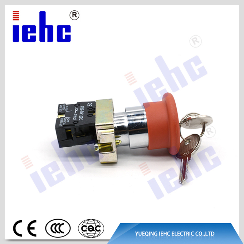 high quality XB2 ( LAY5 ) 22mm 2 or 3 position key operated push button switch