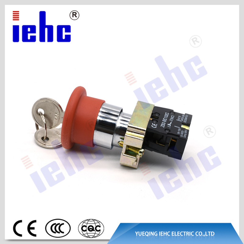 high quality XB2 ( LAY5 ) 22mm 2 or 3 position key operated push button switch
