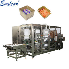 Automatic Mechanical case filling packing machine for pouch