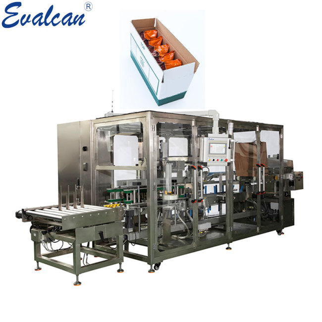Automatic Mechanical case filling packing machine for pouch