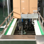 Automatic Instant nooldes case packer packing machine for pouch