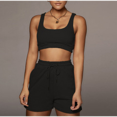 Wholesale 2023 Summer New Summer Clothes 2023 Fitness Activewear Slip Cozy Jogger WomenTwo Pieces Suit Seamless Women Set