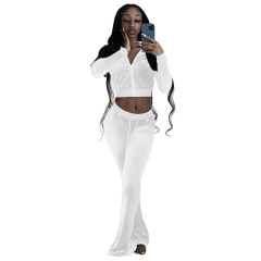 Wholesale Sweatsuit Sexy Crop Top Slim Long Sleeve Zipper Plus Size Street Two-piece Korean Cashmere Solid Color Women's Set