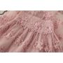 Hot Casual Baby Dress Girl Latest Summer Designs Girls Lace Baby Dress Birthday Party Girls Frock