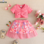 Conyson Summer Princess Wholesale Summer New Design Fancy Top Skirt Two Piece Sweat Puff Birthday 0-3y Kids Girls Party Dresses