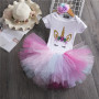 Cute Elegant Baby Girl Clothes Birthday Clothing Pink Party Baby Skirt Outfits Toddler Kids Baby Girl Clothes
