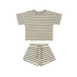 grey stripe