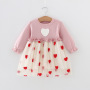 High Quality Anti-Wrinkle Embroidered Knee-Length Layered Dress Knit Kids Girl Mesh Dress