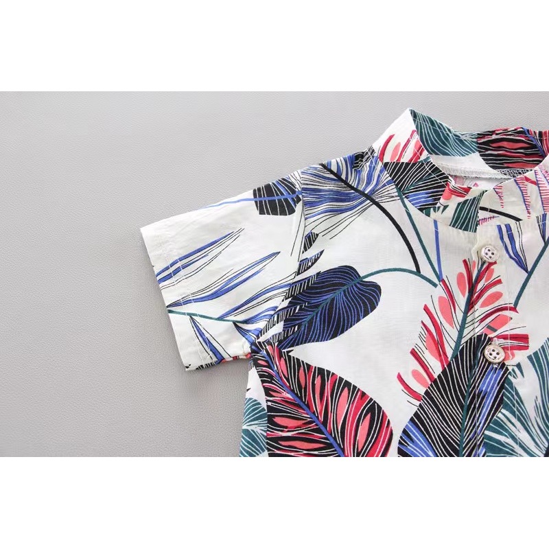 Conyson Wholesale Summer Short Sleeve Newfashion Clothes Design Cotton Sets Two Piece Kids Boy Shorts Casual Clothing Outfit Set
