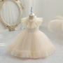 Conyson Hot Sale flower Girl Dress Mesh Birthday Princess Dress Puff European Style Embroidery Pearls Collar Sleeveless Dress