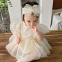 Conyson Wholesale Summer Fashion Dusty Pink Ruffled Princess Birthday Mesh Tutu Baby Girls Party Dresses