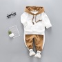 Fall Manufacturers Selling Discounts Wholesale Hooded Sweater Kids Clothing Casual Sweat Suits Baby Boy Suit