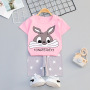 Childern Suits 100% Cotton Children Boutique Clothing Sports Suit Kids Clothes Baby Boy Summer Clothes 2 Pcs Sets