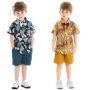 Conyson High Quality Boutique Boys Printed Short Sleeve Shirt and Shorts 2Pcs Boys Clothing Sets Baby Boys Summer Clothing Set