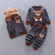 Gray bear