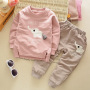 Spring Autumn Boy's Clothing Sets Cotton Casual Wear Long Sleeve T Shirt + Pants Cute 2 Piece Sets Kids Boutique Clothes