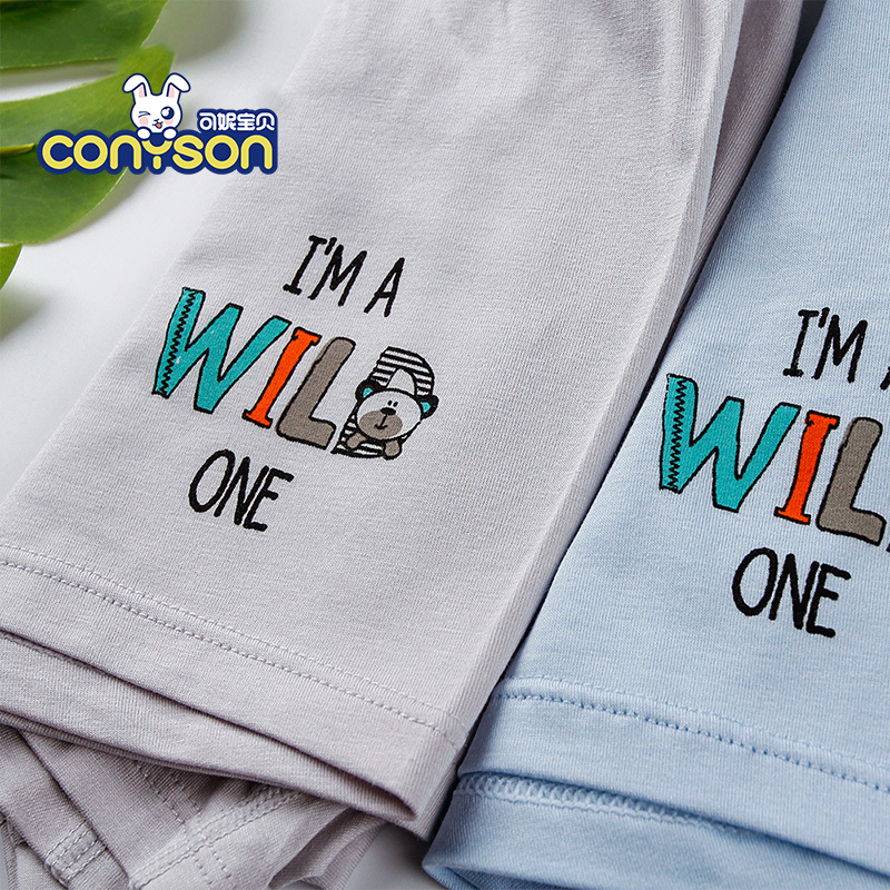 Hot Sale Cartoon 95% Cotton Boys Underwear Kids Children Panties Baby Briefs Breathable Underwear 2PCS/Set Wholesale
