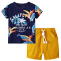 Kids Clothes Boys Summer Shirt Short Baby Clothing Toddler Clothes Set Toddler Floral Print Tee Shorts Baby Boy Shorts Set