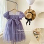 Conyson New Design Wholesale Price Solid Birthday Wedding Party Wear Flower Dresses Baby Girls Bowknot Purple Princess Dress
