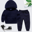 Royalblue1