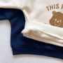 Wholesale Autumn Winter Cute Bear Round Collar two piece Plush warm sports tracksuits Sweater Baby clothing Set