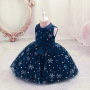 Conyson Embroidery Bow Quality Costume Cheap Little Girls Baby Frozen Prom Designs Skirt Puffy Luxury Evening Princess Dress
