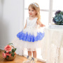 Conyson Wholesale Mesh Embroidery Children Girls Formal Evening Dress Ball Gown Kid Girls Princess Party Fancy Dresses