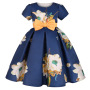 Conyson High Quality Puffy Cheap Price Prom Princess Costume Accessories Fairy Girl Formal Wedding Luxury Party Kids Dress