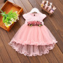 Conyson Lovely Floral Sleeveless Dress Toddler Infant Newborn Kids Clothes Baby Girls Princess Party Tulle Lace Flower Dresses