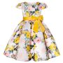 Conyson 2023 High Quality Costume Party Accessories Fairy Ball Gown Evening Luxury Princess Wedding Girl Formal Girl Dress