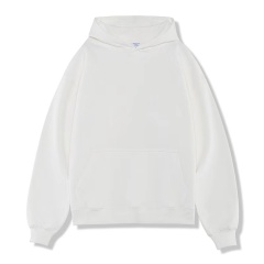 New Style Adult Clothing Custom Logo Solid Size Women Unisex Sweatshirts Jumper Hoody Blank heavyweight men hoodies
