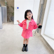 Houndstooth Coat And Hip Skirt