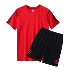 Conyson Wholesale Custom New Arrival Polyester Jogging Sportswear Gym Tracksuit And Short 2 Piece Shorts Track Suit Men T Shirt