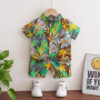 Conyson Wholesale New Fashion Toddler Kids Designer Summer 1-5 Years Clothing Jogger 2 Pieces Little Boy Matching Kids Set