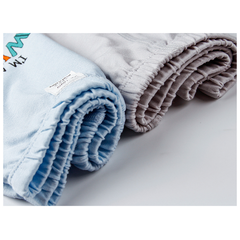 Hot Sale Cartoon 95% Cotton Boys Underwear Kids Children Panties Baby Briefs Breathable Underwear 2PCS/Set Wholesale