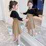 Manufacturers Selling Fashionable Autumn Models Casual Girls Long Sleeve Dresses 2 Piece Suits