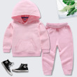Pink1