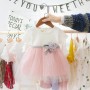 Cartoon Baby Princess Birthday Party Mesh Sweet Style Girl Dresses Fashion Casual Fancy Lace Solid Flower Baby Kids Dress