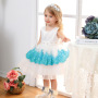 Conyson Wholesale Mesh Embroidery Children Girls Formal Evening Dress Ball Gown Kid Girls Princess Party Fancy Dresses