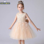 Conyson Hot Sale Summer Western style Polyester And Cotton Sleeveless 3-8 Year Elegant Baby Girl Princess Dresses