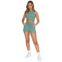 wholesale Custom Sweatsuit Cozy Jogger Plus Size Sexy Crop Top+Shorts Outfit Sleeveless Exercise Set 2 Pieces Fit Women Set