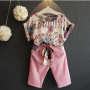 Flower Pattern New Design Boutique Toddler Kids Children Girls Clothes Summer Short Sleeve Suit Sets
