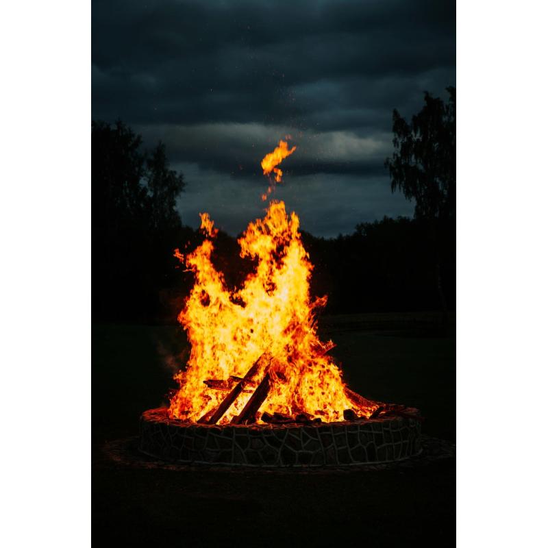 Outdoor Garden Patio Wood Burning Fire Pit Customized Garden Backyard Fire Bowl with Unique Design smoker bbq with poker