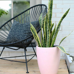 Outdoor Garden Leisure Steel frame Rattan bistro Acapulco Chair Egg Shaped Wicker nest Chair