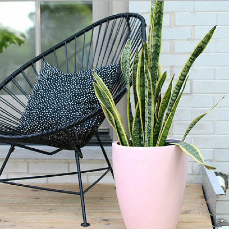 Outdoor Garden Leisure Steel frame Rattan bistro Acapulco Chair Egg Shaped Wicker nest Chair